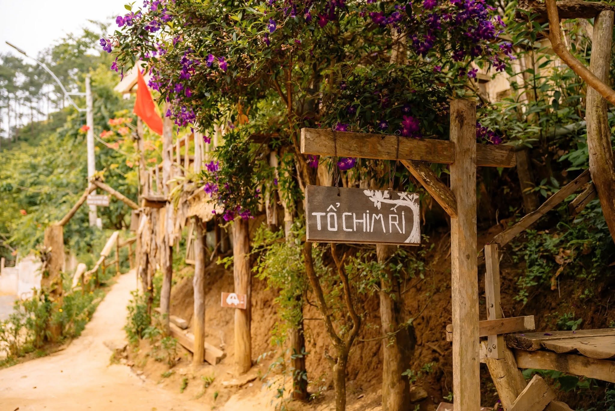 Con đường vào nhà gỗ Tổ Chim Ri Homestay