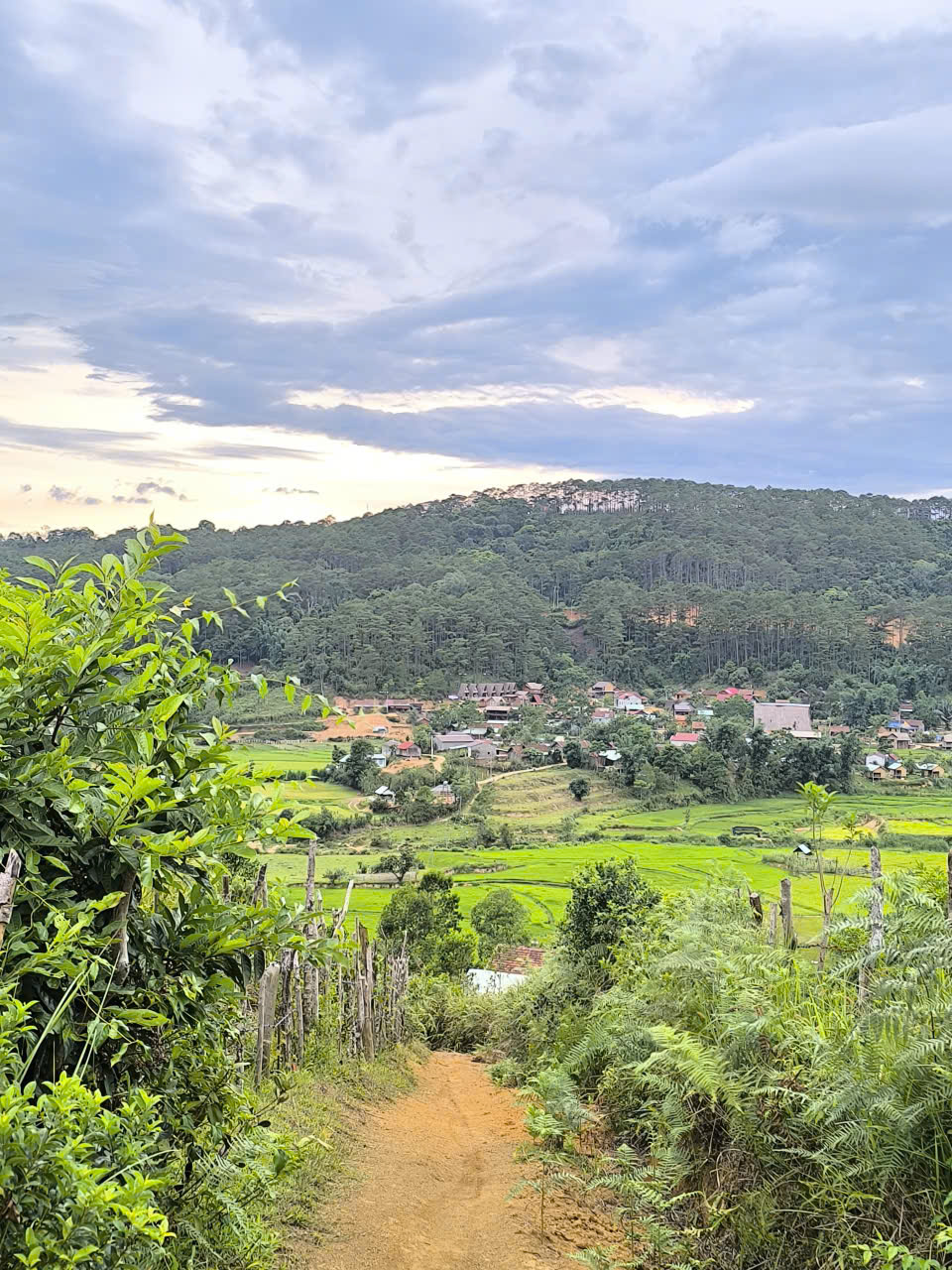 Đường làng Kon Pring buổi chiều