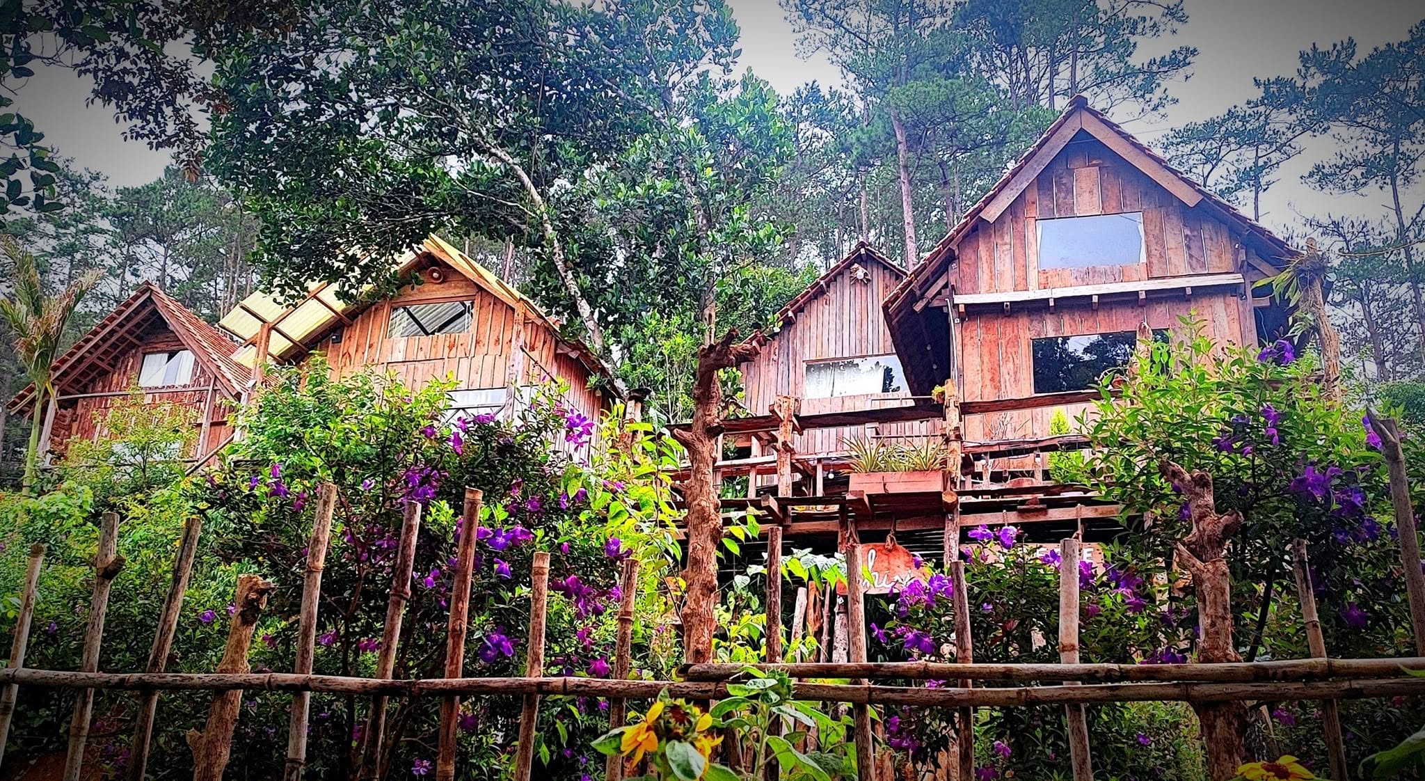 Những căn nhà gỗ mộc mạc bình yên ở Tổ Chim Ri Homestay Măng Đen