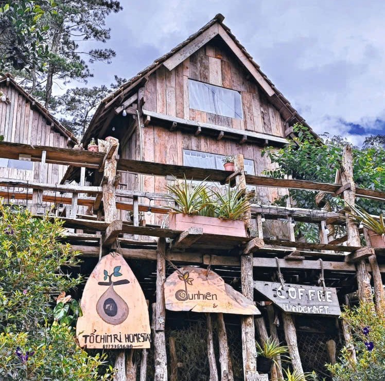 Mặt tiền nhà gỗ Tổ Chim Ri Homestay Măng Đen