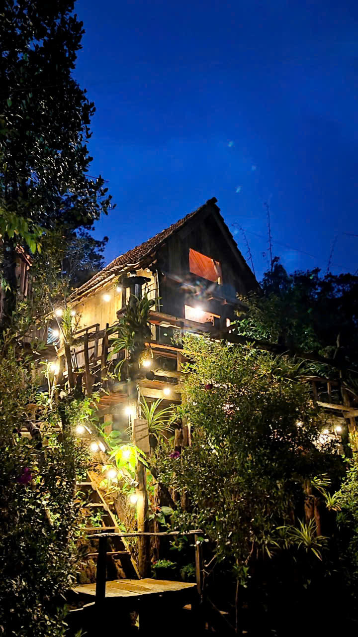 Tổ Chim Ri Homestay lung linh ánh đèn về đêm